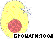 Биомагия ООД