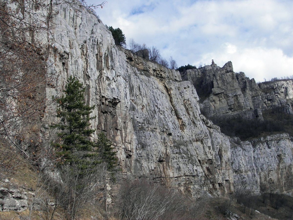 Алпийска поляна - сектор Локомотив