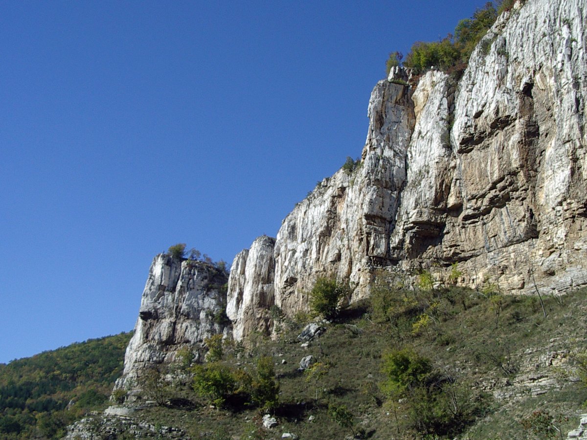 Алпийска поляна - сектор Локомотив
