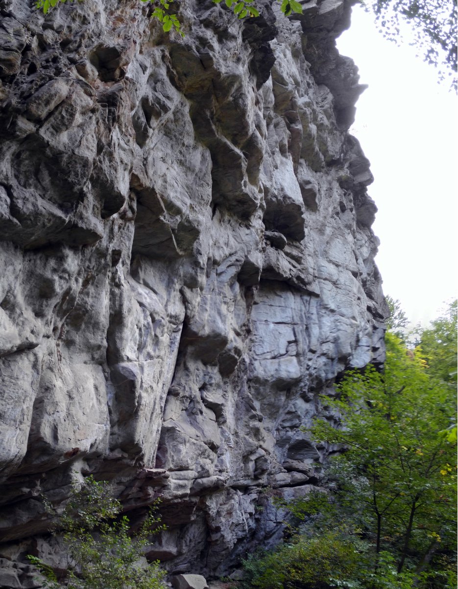 Секторът над реката - общ вид