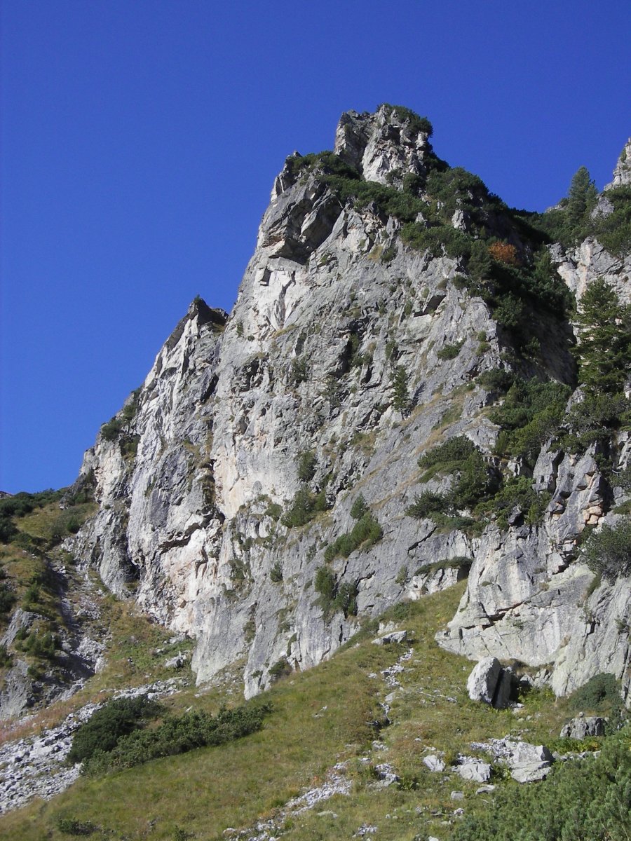 Куклата в профил