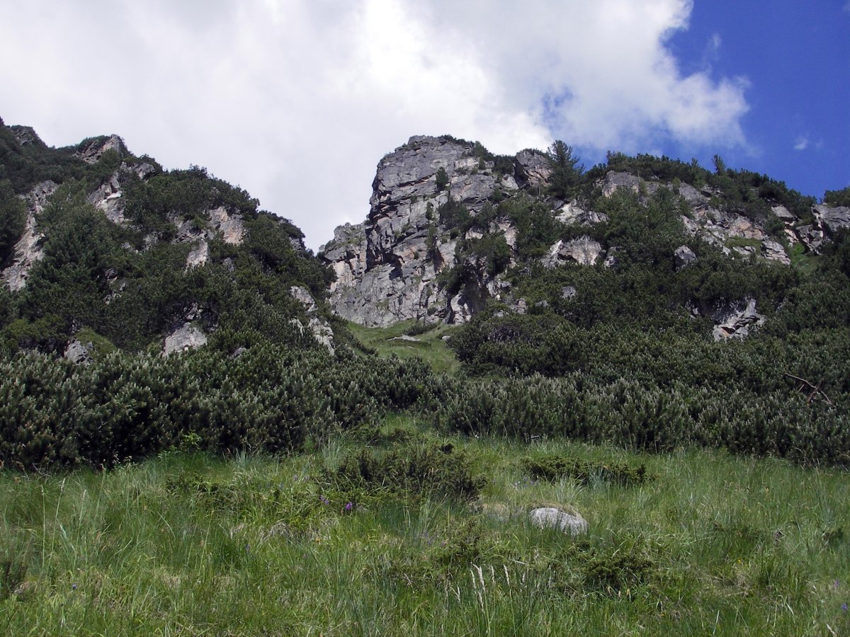 Поглед по Зеления улей нагоре с иглата в дъното