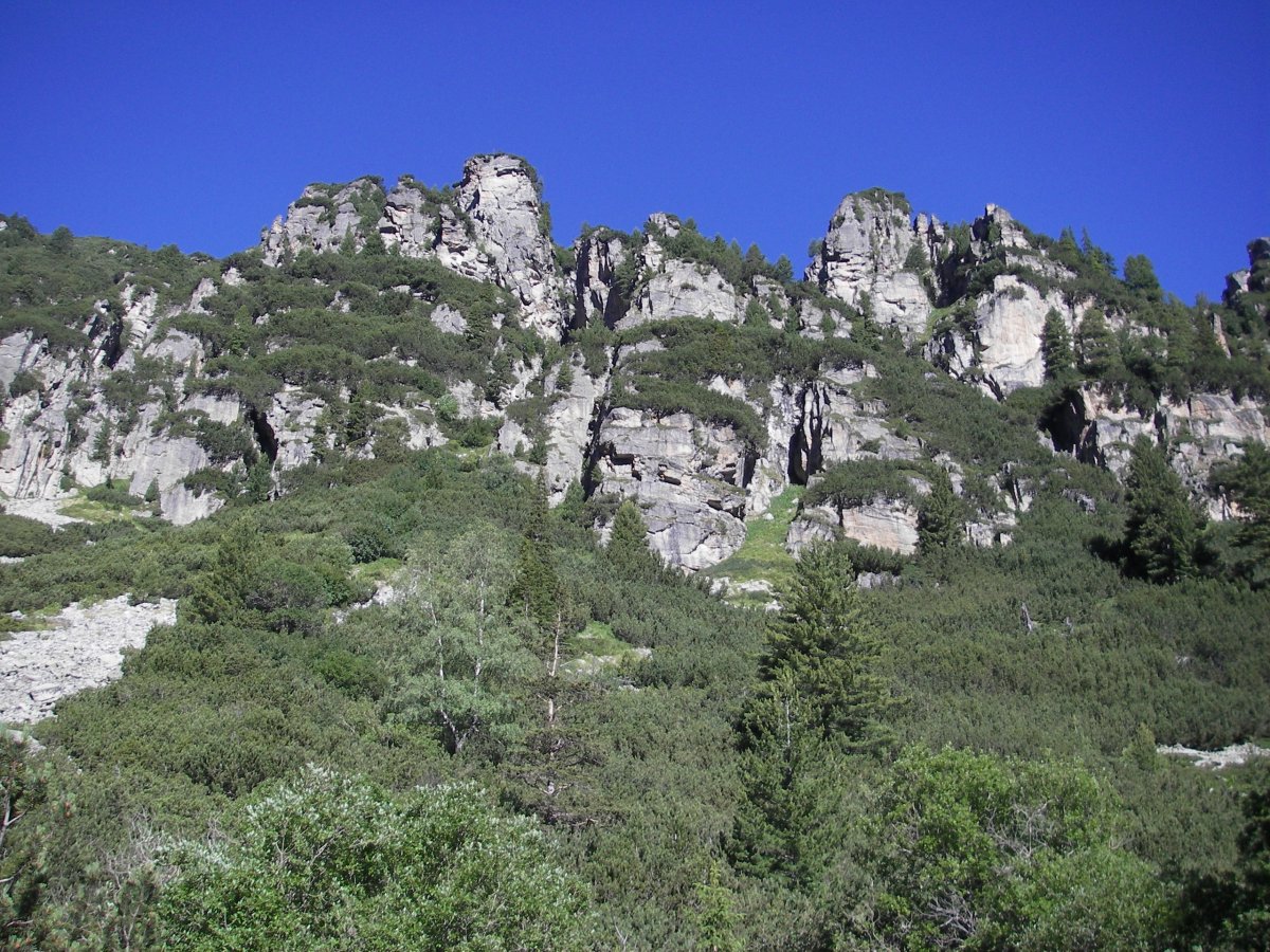 Поглед към Калбурския склон от мостчето (пътеката между школа и хижа Мальовица). Калбурската игла е лявата.