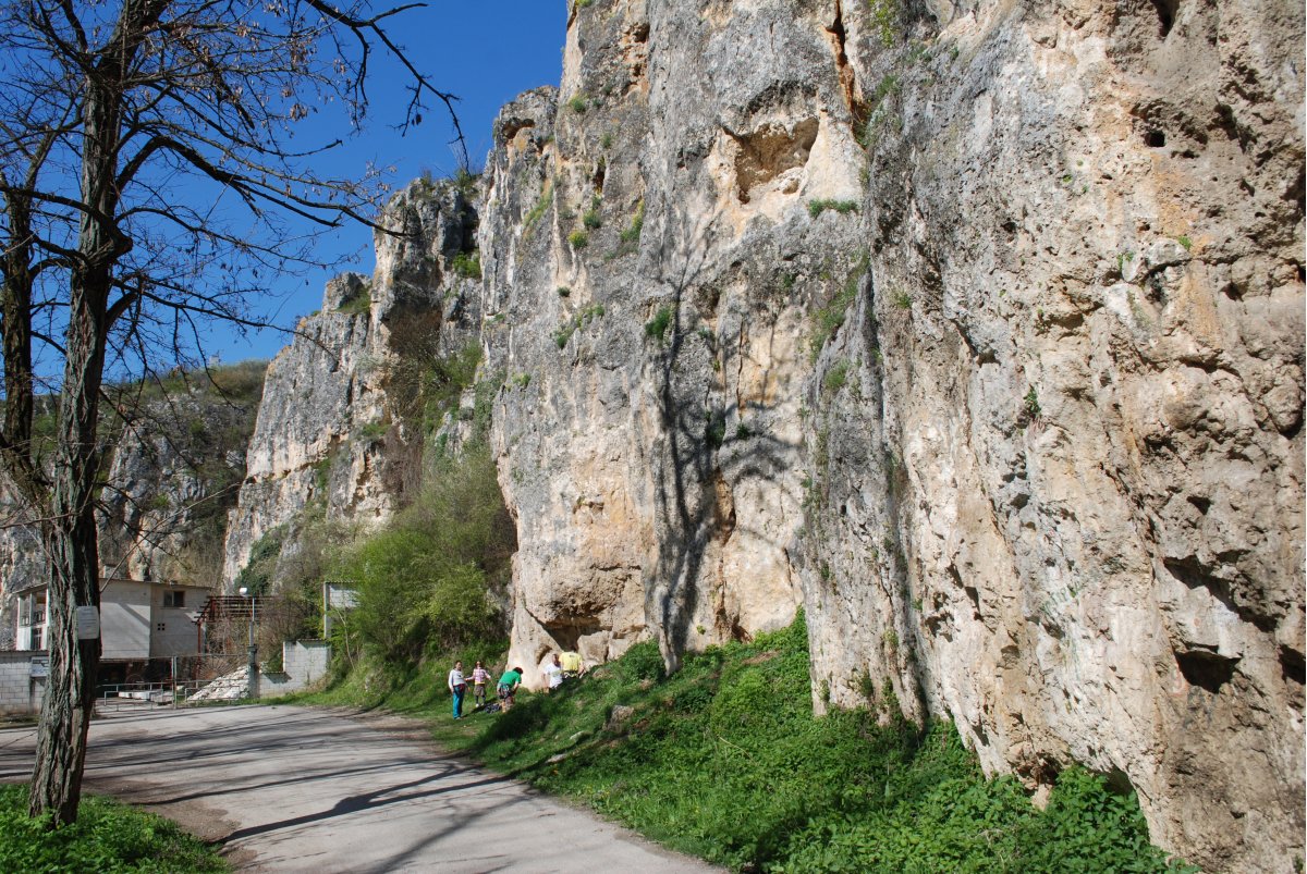 Масивът край хижа Алпинист - Басарбово.
