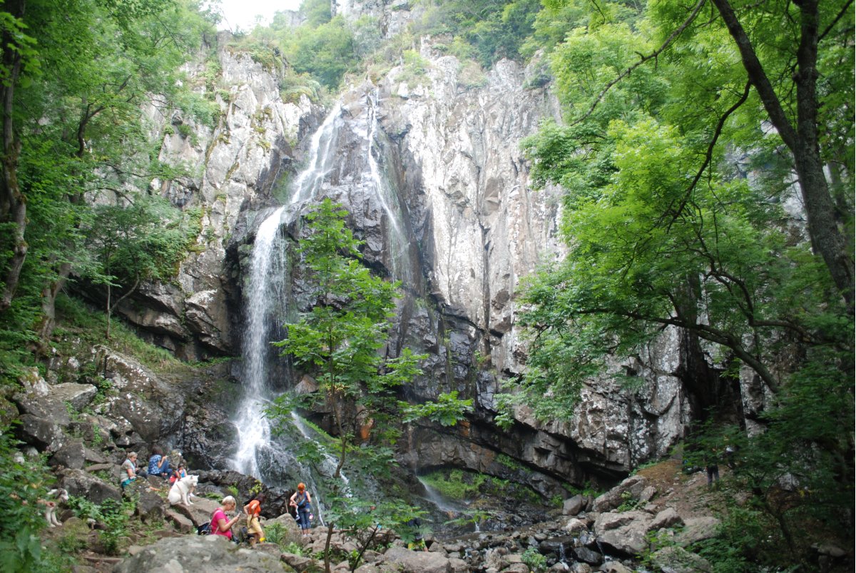 Боянски водопад - общ изглед през лятото
