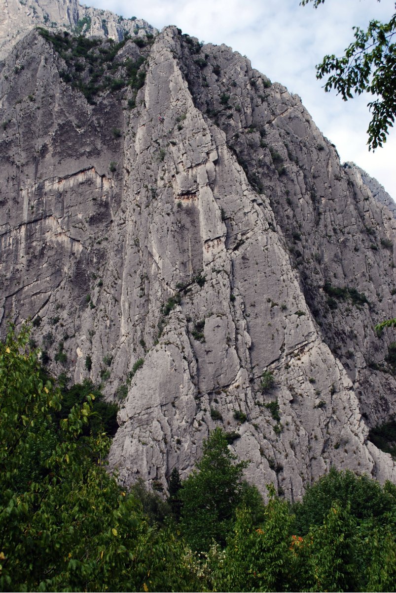 поглед от основата