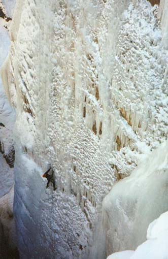 Снимка Lisa Foster