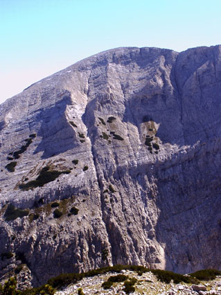 Снимка: Боян Петров