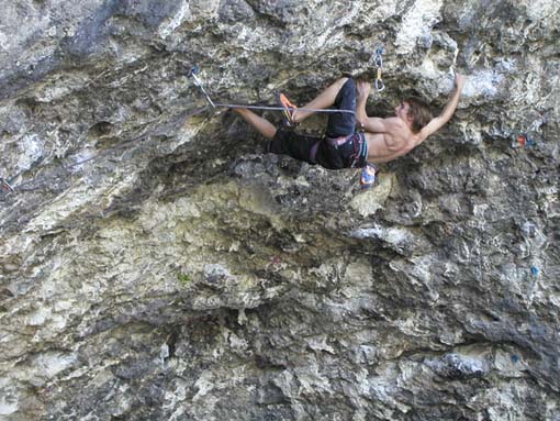 Снимка Стиви Уудс (Steve Woods)