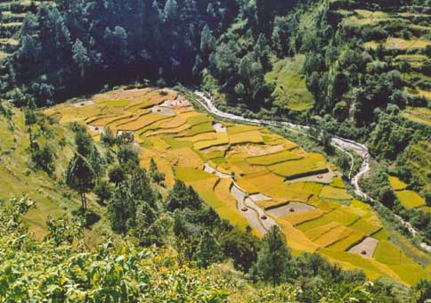 Снимка архив Валерия Цолова и Никола Леваков