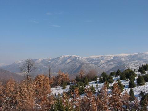 Снимка: Виктор Стефанов