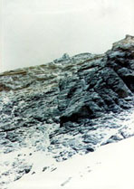 Снимка Николай Петков