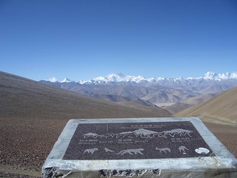 Снимка Николай Петков