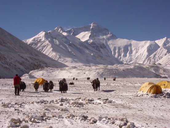 Снимка Николай Петков