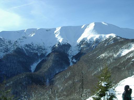 Снимка Николай Петков