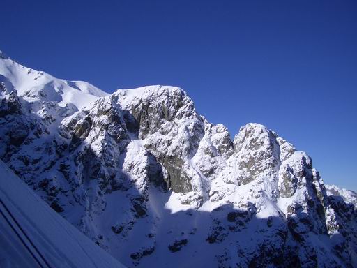 Снимка Елица Павлова