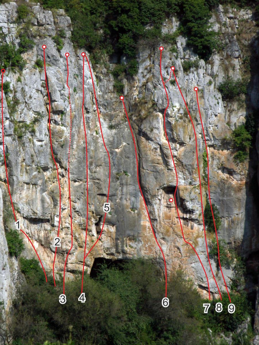 Скица Николай Петков