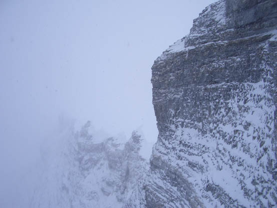 Снимка Николай Петков