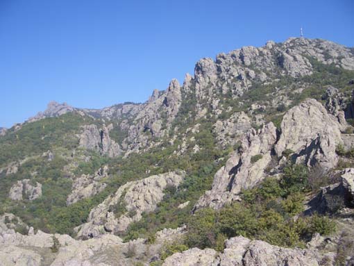 Снимка Николай Петков