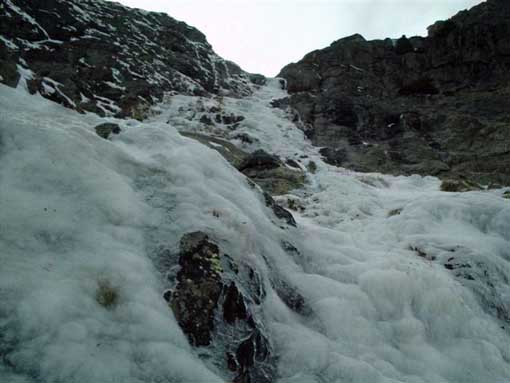 Снимка Александър Костадинов