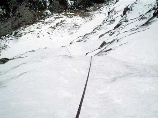 Снимка Александър Костадинов