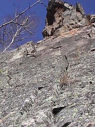 Снимка Владимир Владов