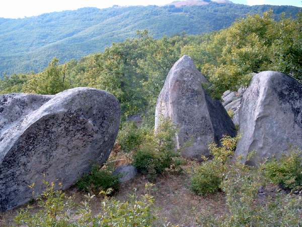 Снимка Огнян Гъдуларов
