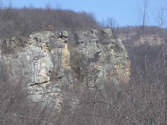 Снимка Николай Петков