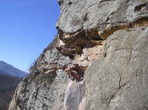 Снимка Елица Павлова