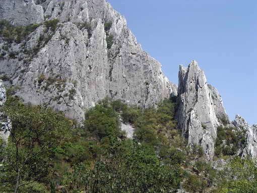 Снимка Елица Павлова