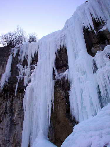 Снимка Николай Петков