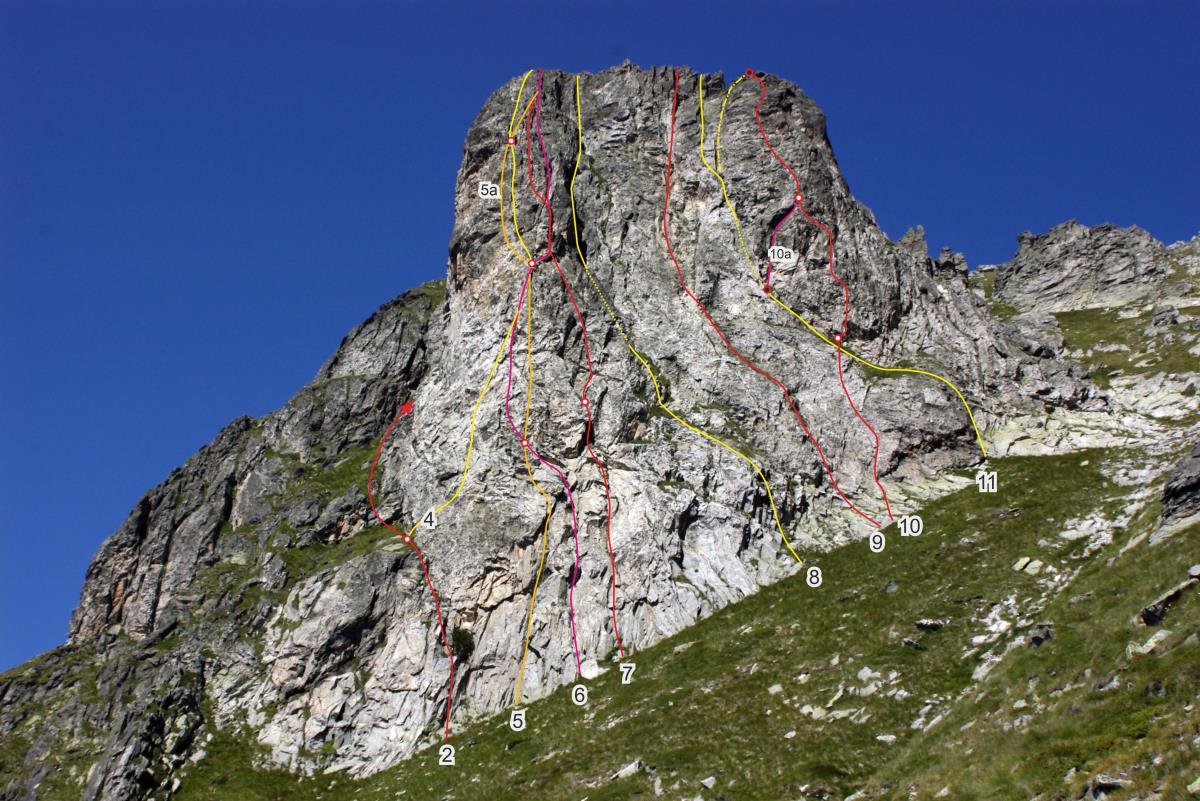 Автор: Николай Петков