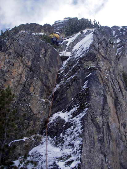 Снимка Николай Петков