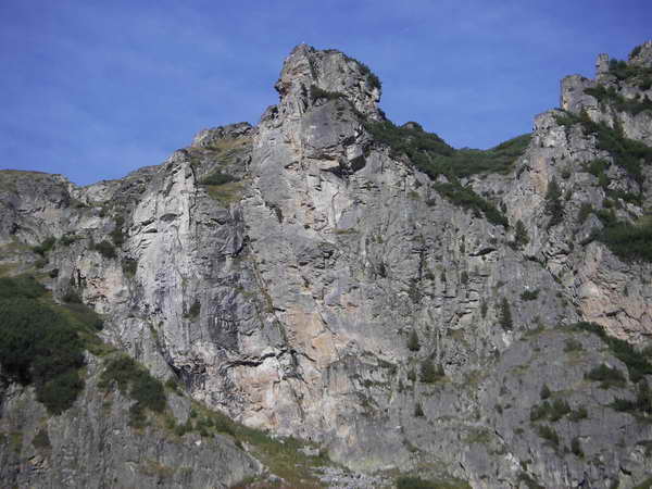 Снимка Николай Петков