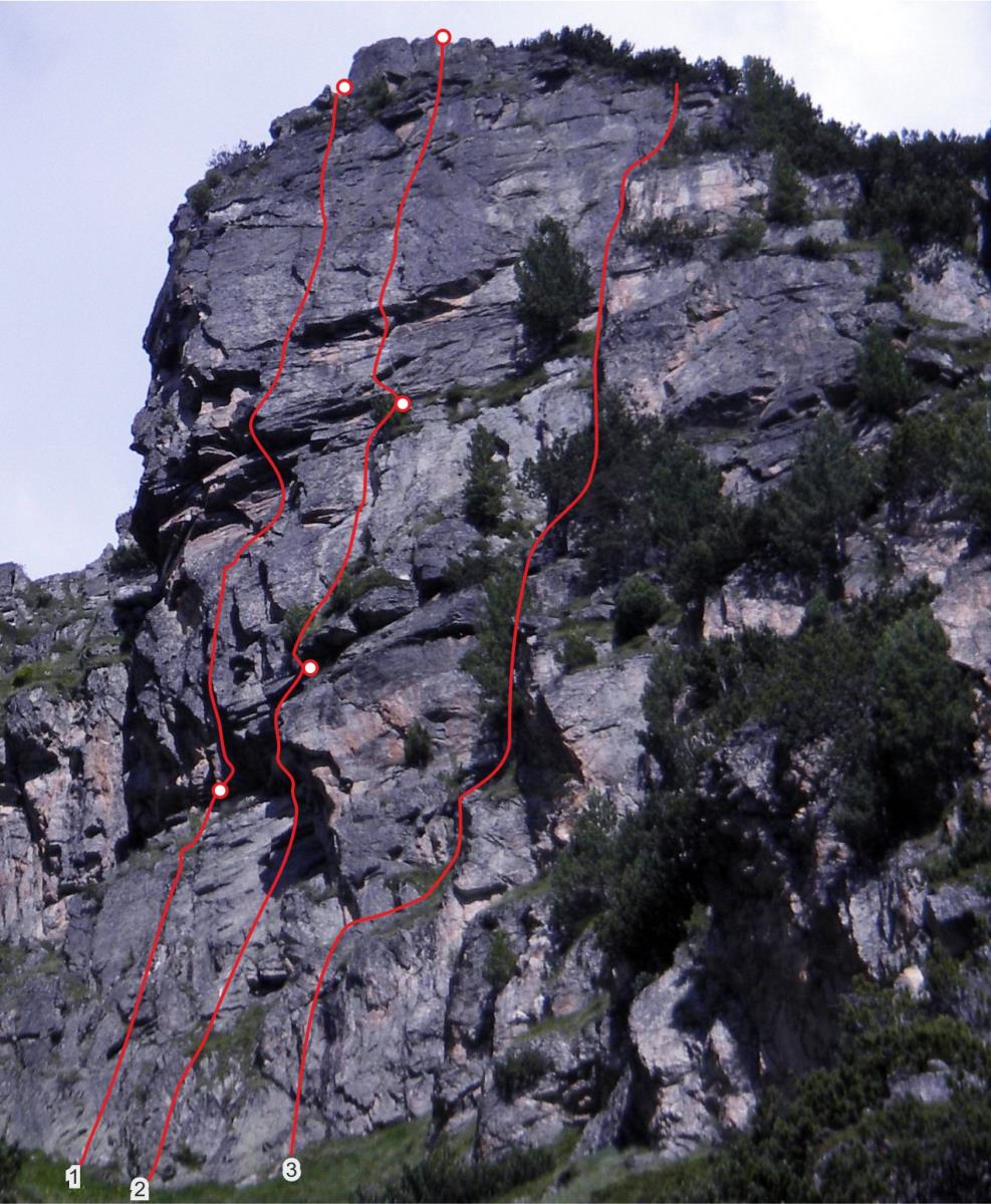 Автор Николай Петков