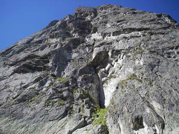 Снимка Николай Петков