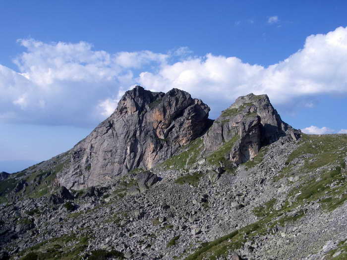 Снимка Николай Петков