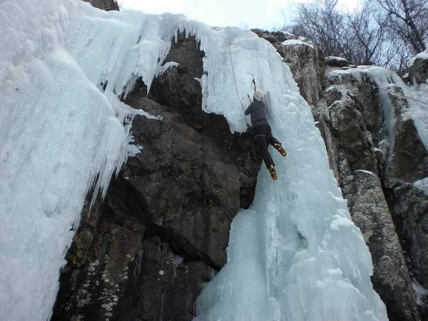 Снимка архив Елица Павлова
