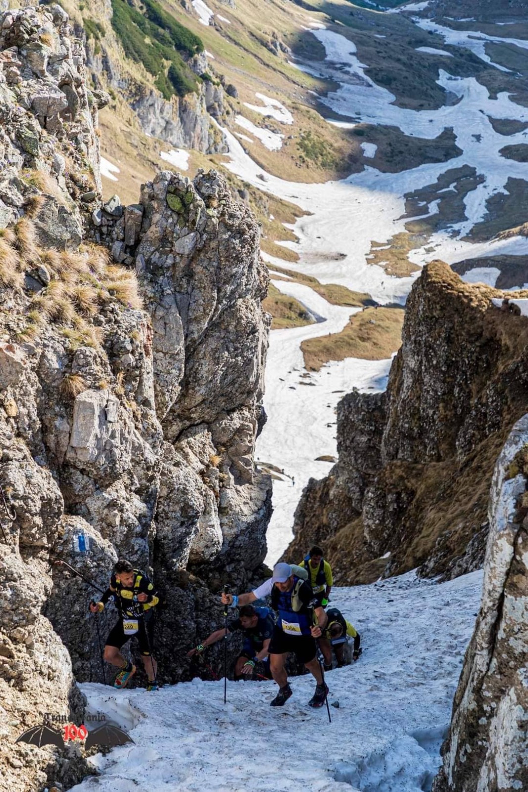 Трансилвания 100