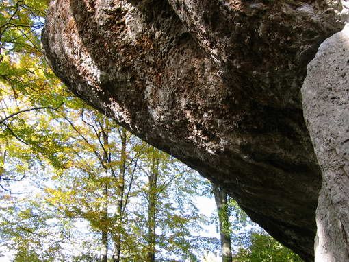 Катерене в историята