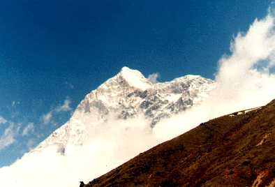 Златен юбилей на Макалу