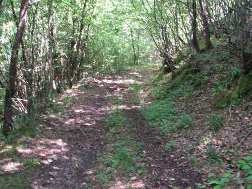 1-ви ЦАРИБРОДСКИ  МТБ  МАРАТОН