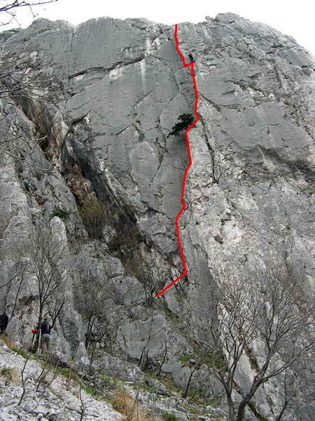 Нов вариант на отдавна забравен тур на Враца