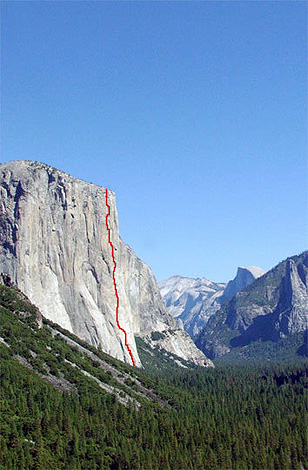 Невероятно – за един ден по “Magic Mushroom”