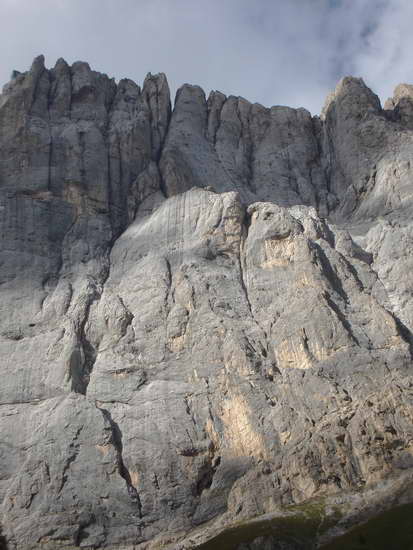 "The stock in the basement"