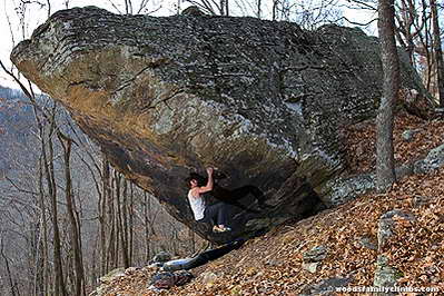 Поглед към края на 2008-а