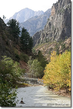 Среща с планинския свят на Турция