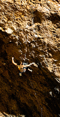 Вести от Санта Линия