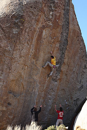 Първо повторение на “Ambrosia”