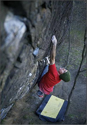 “Веселият лъв” бе удължен с 11 движения